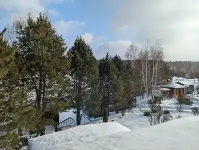 Сосновка - 49