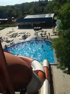 Березовые дали - 0
