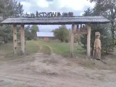 Стулы - 16
