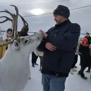 Олений Двор - 4