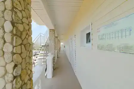 Альбатрос - 65