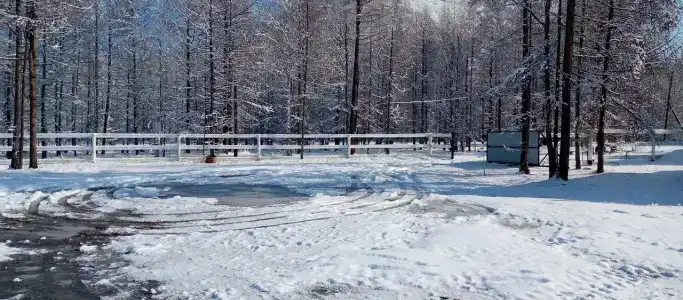 Орлик - 11