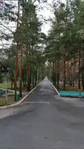 Шмаковский - 51