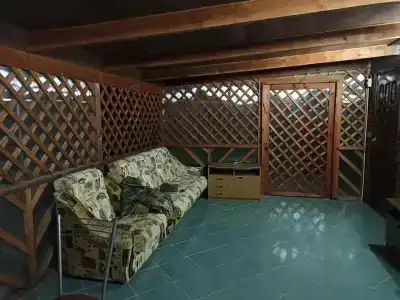 Тюльпан - 15