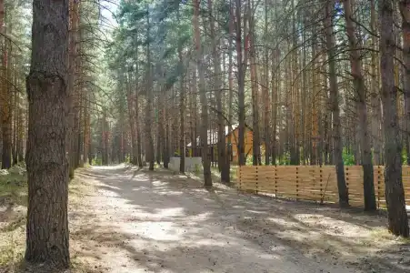 Усадьба - 54