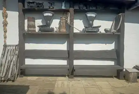 Беловежское Поместье - 51