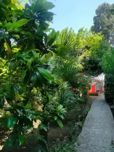 Сон у моря - 31