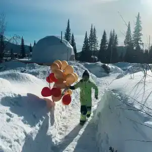 Глэмпинг DzenDome - 58