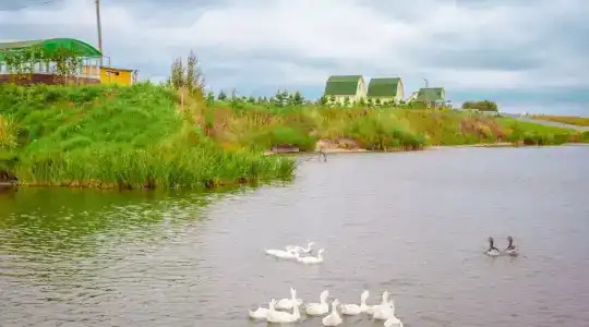 Лукоморье - 12