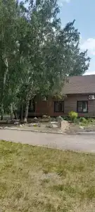 Березка - 40