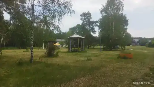 Сосны - 27