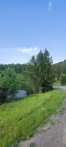 Поместье Налимова - 39