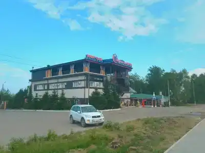 Звездная ночь - 13