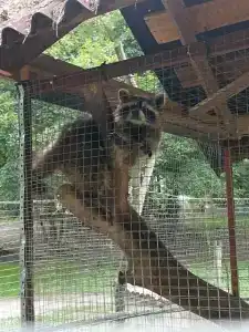 Простоквашино - 36