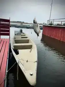 База Белуга - 1