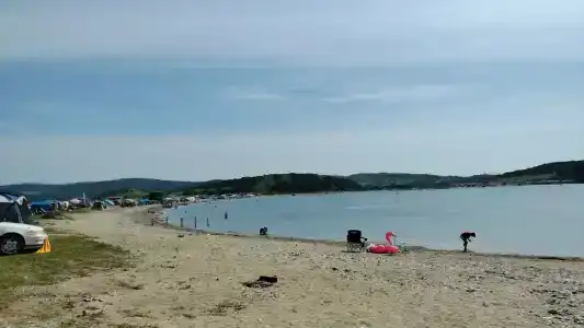 Зелёная полянка - 57