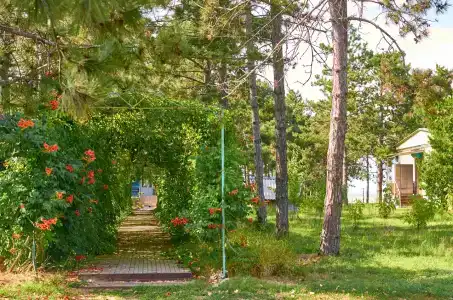 Бриз - 38