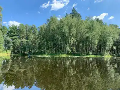 Лесная - 38