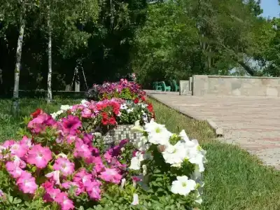 Пансионат Дорожник - 47