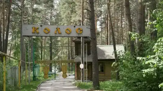 Колос - 22