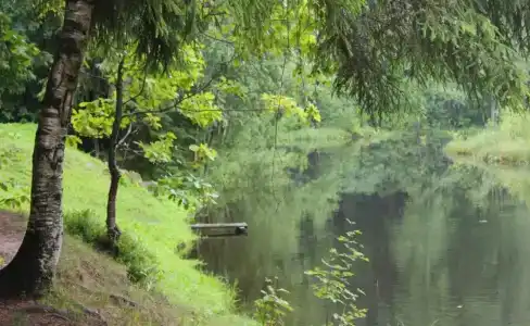 Пушкиногорье - 11