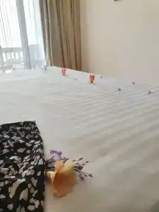 The Lucky Elephant - 35