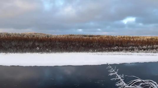 Усадьба Гирвас - 65