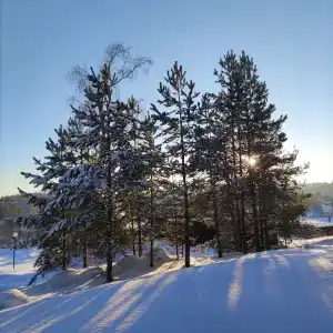 Скала - 19
