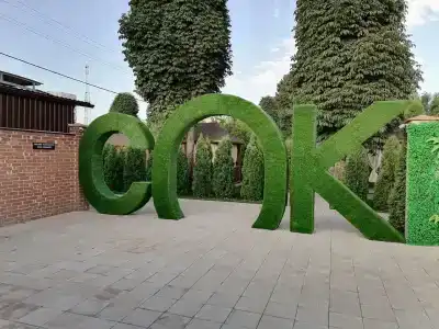 Сок - 2