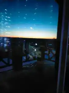 Снегири - 17