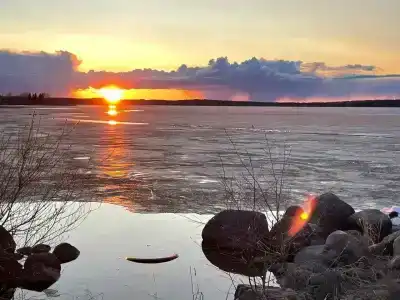 Коди Ярви - 17