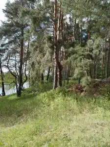 Берендей - 63