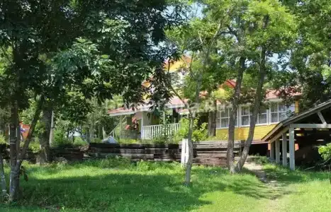 Лесная - 9