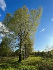 Кроличья нора - 69