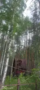 Успех - 15