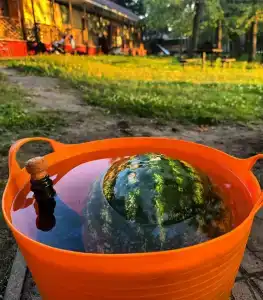 Лесовичок - 44