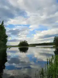 Подворье - 73