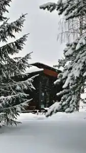 Harland Village - 14