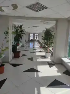 Паратунка - 30