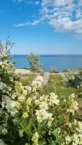 Тортуга - 87