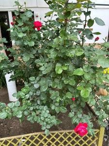 Андалусия - 85