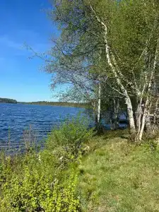 Лахтанпера - 45