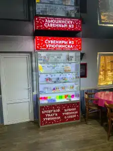Чайка - 35