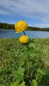Канада - 70