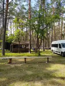 Ёлочка - 1