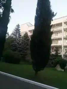 Бетта - 36