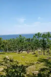 Лазурная - 14
