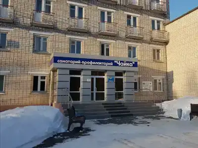 Чайка - 3