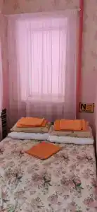 Дубровский - 11