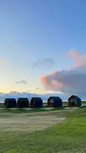 Фридом Веселовка - 59